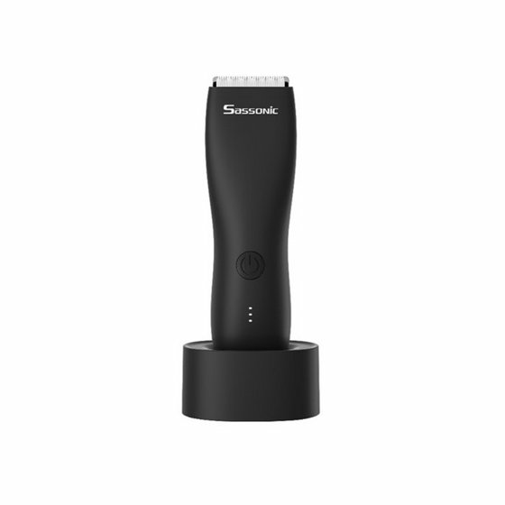 ����� ������ ���� Sassonic ESE155