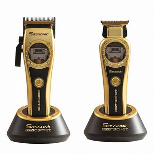 �� ������ ������ Sassonic ESE13000 GOLD ������