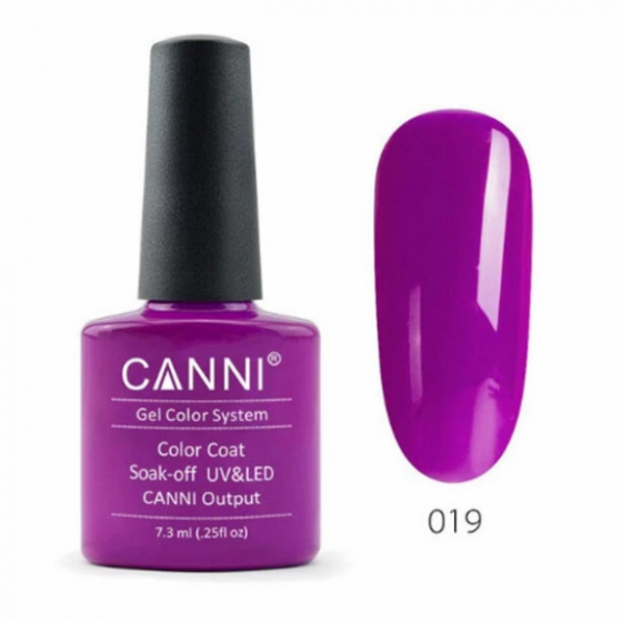 �� �� ���� -CANNI 19
