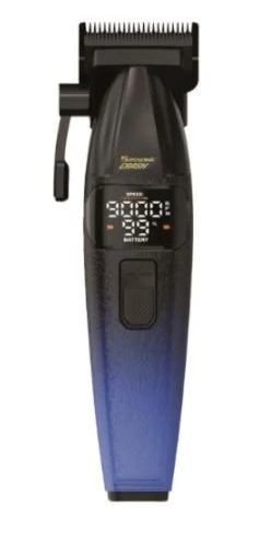  ����� ����� ���� ������ ��� ESE901 SASSONIC CRASH