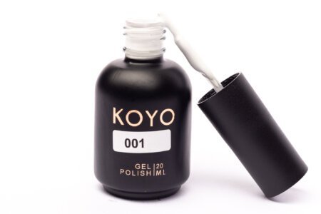 �� �� KOYO ���� 001 ��� �����