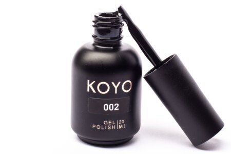 �� �� KOYO ���� 002 ����