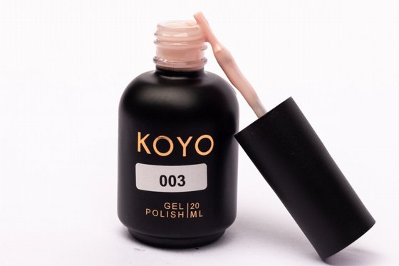 �� �� KOYO ���� 003 ���� ����