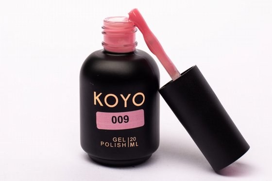 �� �� KOYO ���� 009 ���� �����