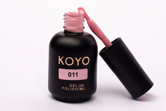 �� �� KOYO ���� 011