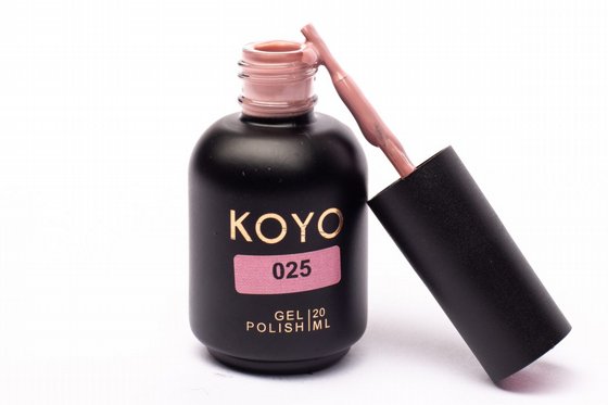 �� �� KOYO ���� 025