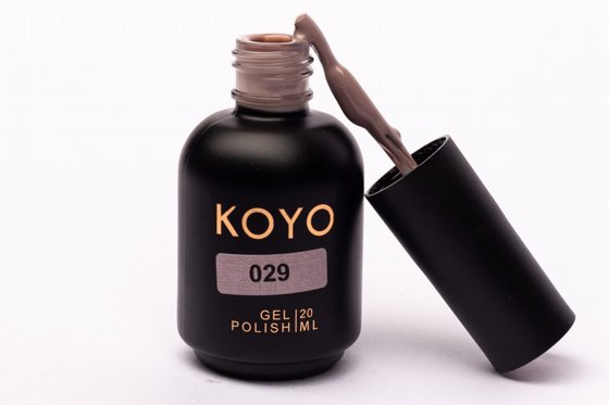 �� �� KOYO ���� 029