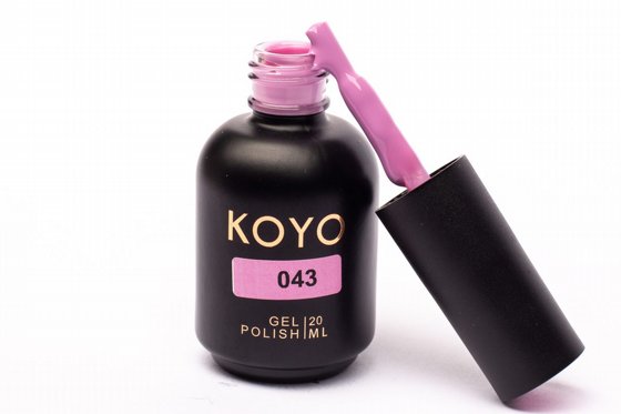 �� �� KOYO ���� 043