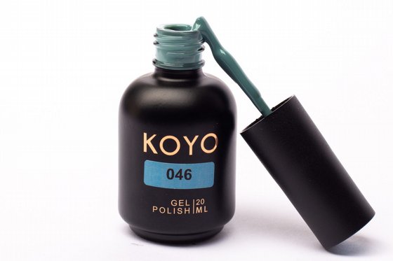 �� �� KOYO ���� 046