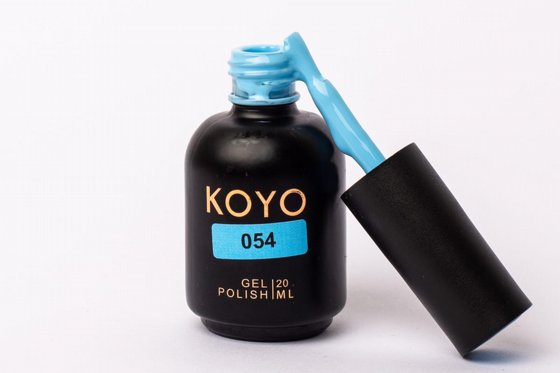 �� �� KOYO ���� 054