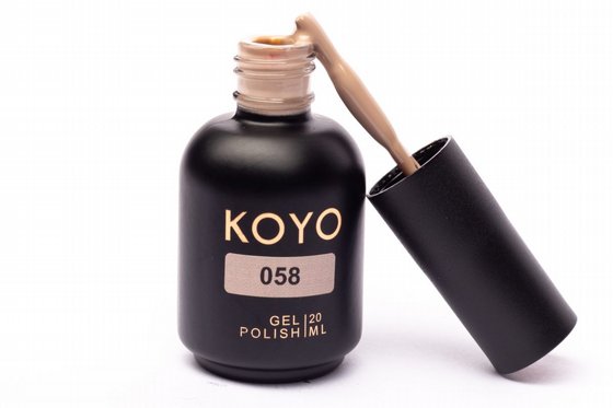 �� �� KOYO ���� 058