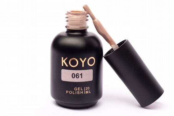 �� �� KOYO ���� 061