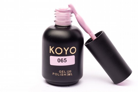 �� �� KOYO ���� 065