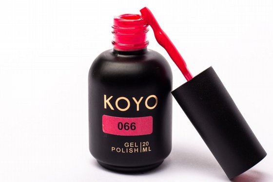 �� �� KOYO ���� 066