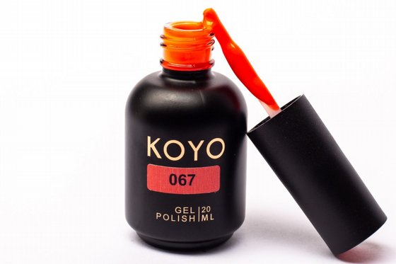 �� �� KOYO ���� 067