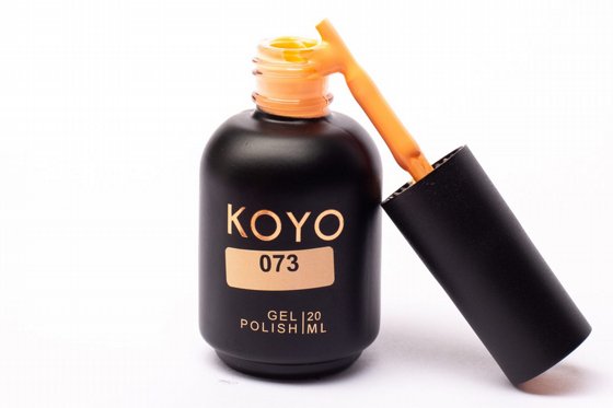 �� �� KOYO ���� 073