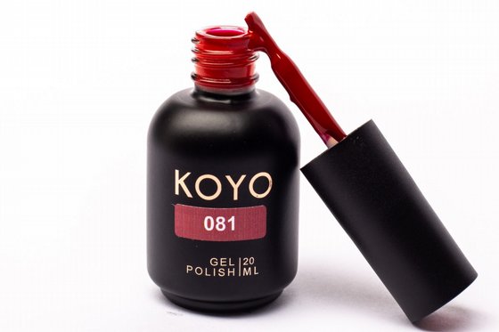�� �� KOYO ���� 081