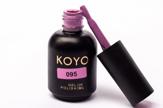 �� �� KOYO ���� 095