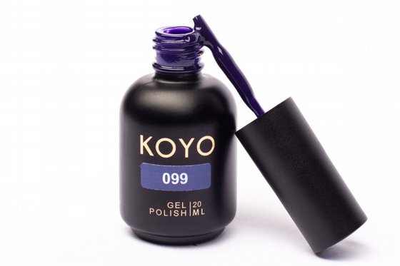 �� �� KOYO ���� 099