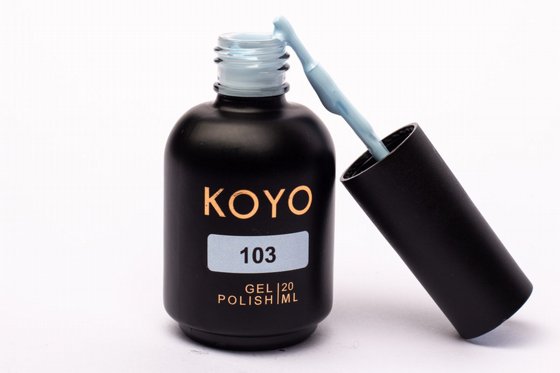 �� �� KOYO ���� 103