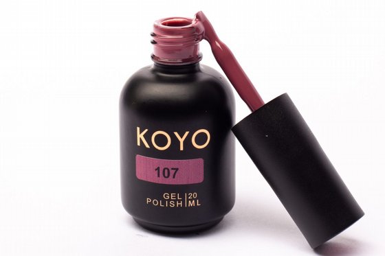 �� �� KOYO ���� 107