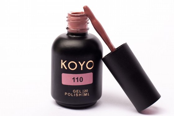 �� �� KOYO ���� 110