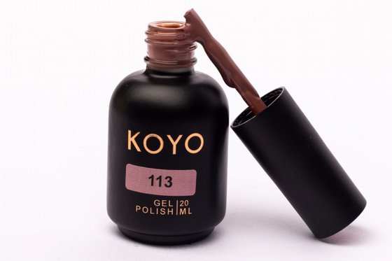 �� �� KOYO ���� 113
