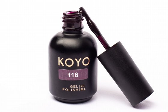 �� �� KOYO ���� 116