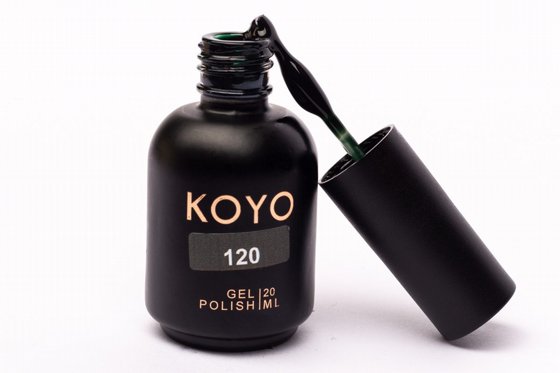 �� �� KOYO ���� 120
